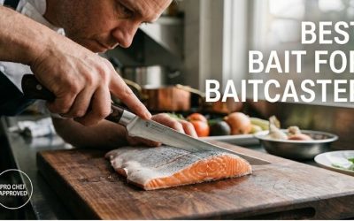 Best bait for baitcaster: Top choices for anglers