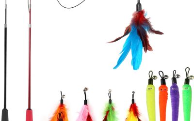 Best Cat Fishing Rod For Interactive Play And Exercise
