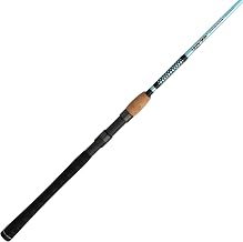 How to Choose the Best Fishing Rod: A Beginner’s Guide (2026)