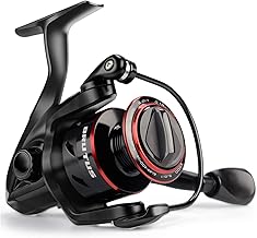 Best Reel Bass Fishing: Ultimate Guide For Anglers