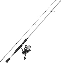 Best Rod and Reel for Freshwater Fishing: Top Combos