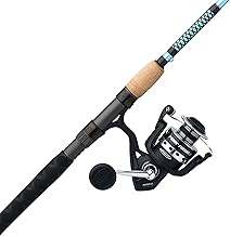 Best rod and reel for inshore fishing: Top kits