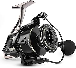 Best Shore Fishing Reel: Top Saltwater Choices
