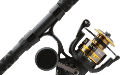 Best Surf Fishing Rod And Reel For Big Ocean Catch