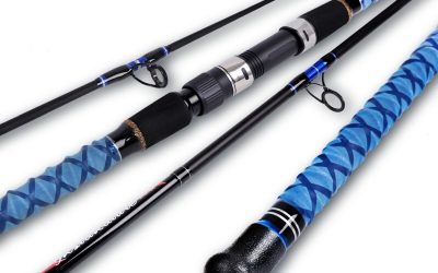 Best Surf Fishing Rod For Coastal Waves And Long Casts