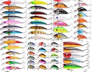 Best tackle for trout: Essential gear for anglers