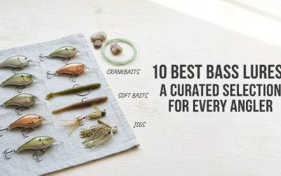 10 Best Bass Lures for Proven Angling Success Today