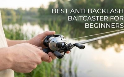 Best Anti Backlash Baitcaster For Beginners: Premier Pick