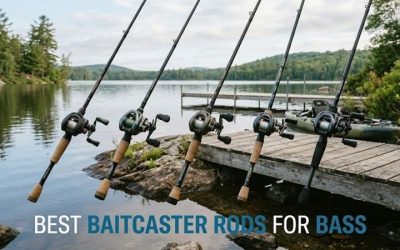 Best Baitcaster Rods For Bass: Top 4 Picks for 2026