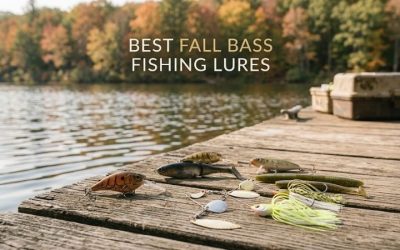 Best Fall Bass Fishing Lures: Proven Ultimate Success Guide