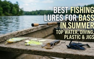 Best Fishing Lures For Bass In Summer For Proven Success