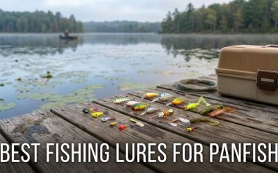 Best Fishing Lures For Panfish: Ultimate Guide For Success