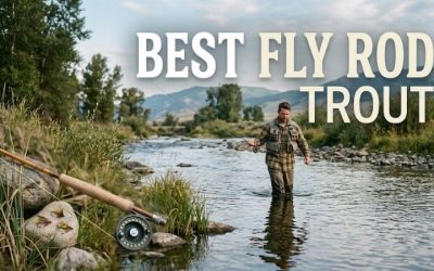Best Fly Rod Trout: 4 Top-Tier Options for 2026