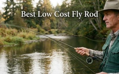 Best Low Cost Fly Rod Options: 4 Top Picks for 2026
