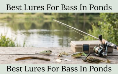 Best Lures For Bass In Ponds: 5 Proven Options for 2026