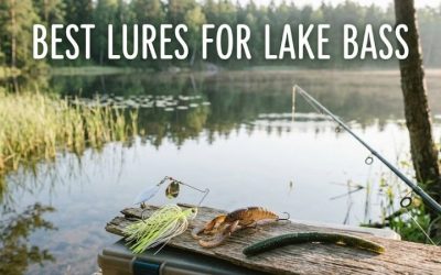 Best Lures For Lake Bass: Master Your Next Successful Trip
