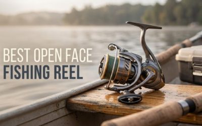 Best Open Face Fishing Reel Guide: Top Ultimate Upgrades