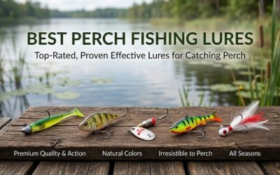 Best Perch Fishing Lures: Proven Gear for Great Success