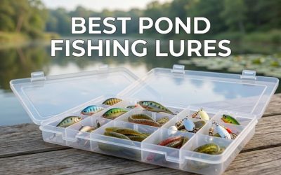 Best Pond Fishing Lures: 5 Proven Choices for 2026
