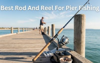 Best Rod And Reel For Pier Fishing: 4 Top 2026 Combos