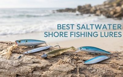 Best Saltwater Shore Fishing Lures: 4 Top Picks for 2026
