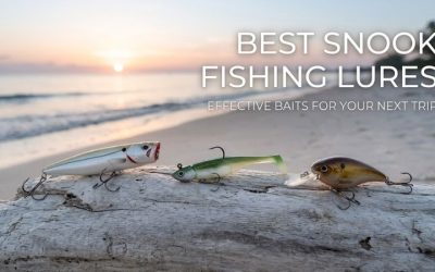 Best Snook Fishing Lures: Ultimate Guide to Great Catch