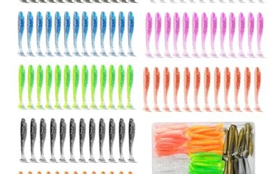 Best Soft Plastic Baits for Crappie Fishing in Summer
