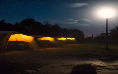 The 7 Best Solar-Powered Camp Lights for Night Fishing Trips (2026)