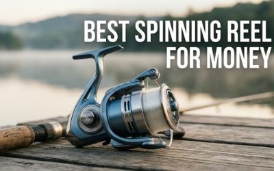 Best Spinning Reel For Money: 4 Top Performers in 2026