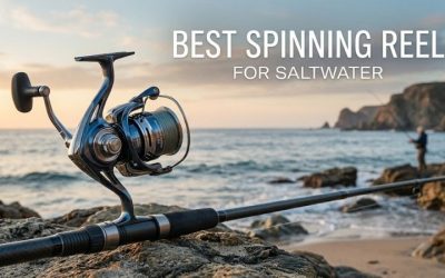 Best Spinning Reel For Saltwater: Ultimate Superior Gear