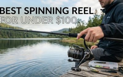 Best Spinning Reel For Under $100 For Ultimate Great Action