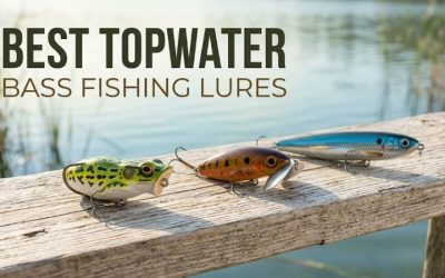 Best Topwater Bass Fishing Lures for Ultimate Action Success