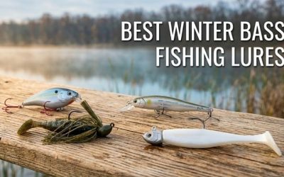 Best Winter Bass Fishing Lures for Ultimate Victory Today