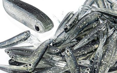 Comparing Live Bait vs. Artificial Lures for Walleye