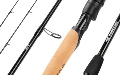 How to Choose the Right Bass Fishing Rod for Your Technique