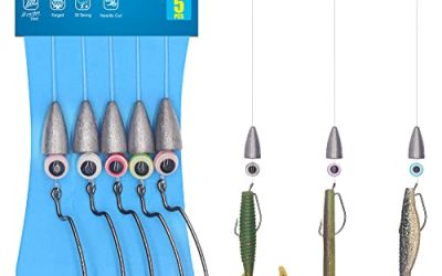 How to Rig a Texas Rig for Bass Fishing