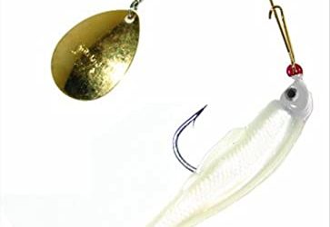 How to Target Redfish in Coastal Saltwater