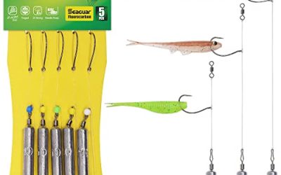 How to Use a Drop Shot Rig for Bass Fishing