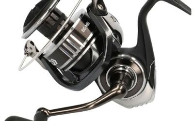 Review: Daiwa BG MQ Spinning Reel – Durability and Performance