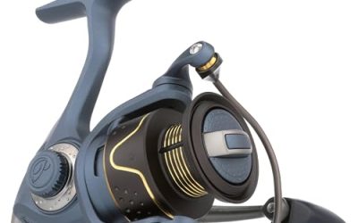 Review: Pflueger President Spinning Reel – Excellent Value for Money