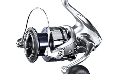 Review: Shimano Stradic FL Spinning Reel – Is it Worth the Hype?