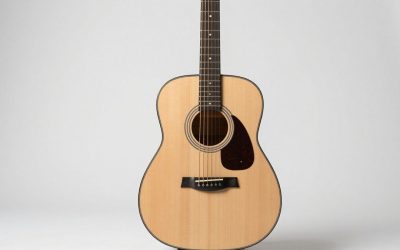 Best 12-String Guitars for Every Budget