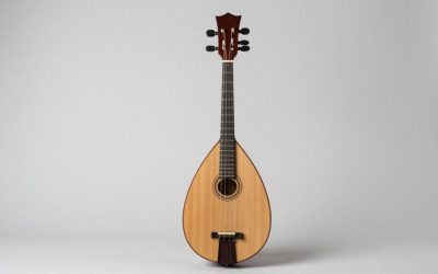 Best Bouzoukis: Top Picks for Every Playing Style