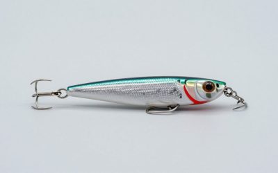 Best Crankbait for Deep Lake Walleye in 2026: Compared and Ranked