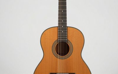 Best Flamenco Guitars for Every Skill Level