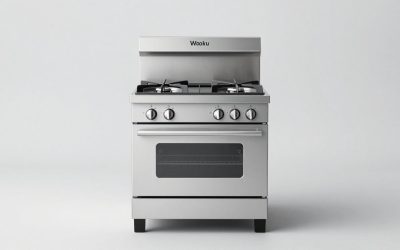 Best Gas Wok Ranges in 2026: Specs and Prices Compared