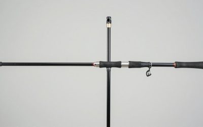 Best Jigging Rod for Saltwater Snapper in 2026: Compared and Ranked