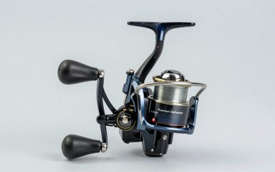 Best Premium Saltwater Spinning Reels for Offshore Fishing in 2026: Compared and Ranked