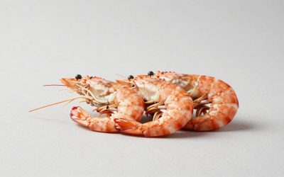 Best Seafood Tool Sets for Crab and Lobster