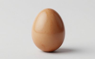 Fall Egg Pets Guide for Grow a Garden